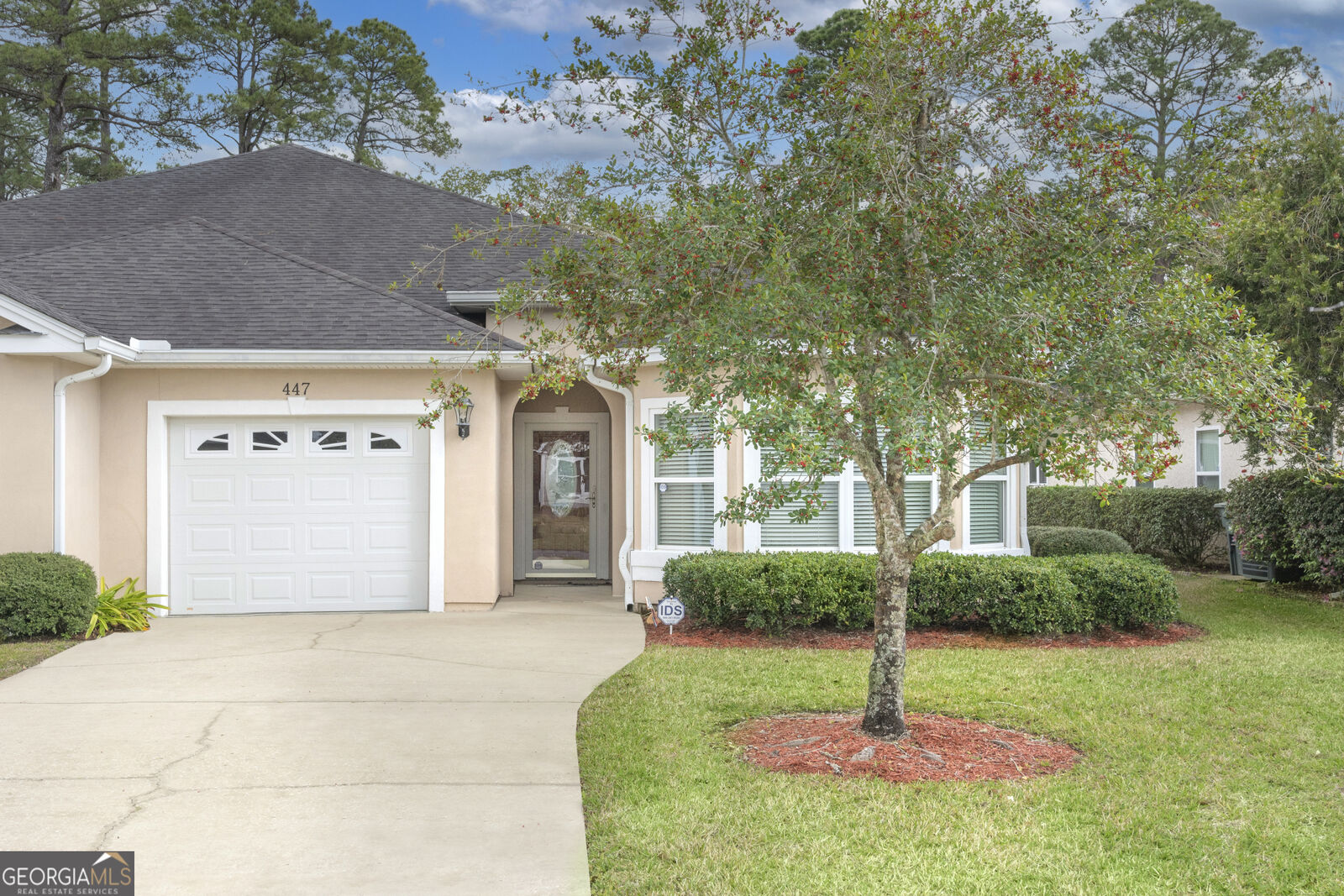 Property Photo:  447 Eagle Boulevard  GA 31548 