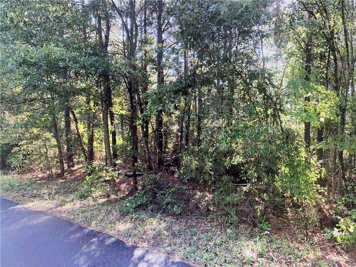 Property Photo:  Tbd Goldonna Road  LA 71031 