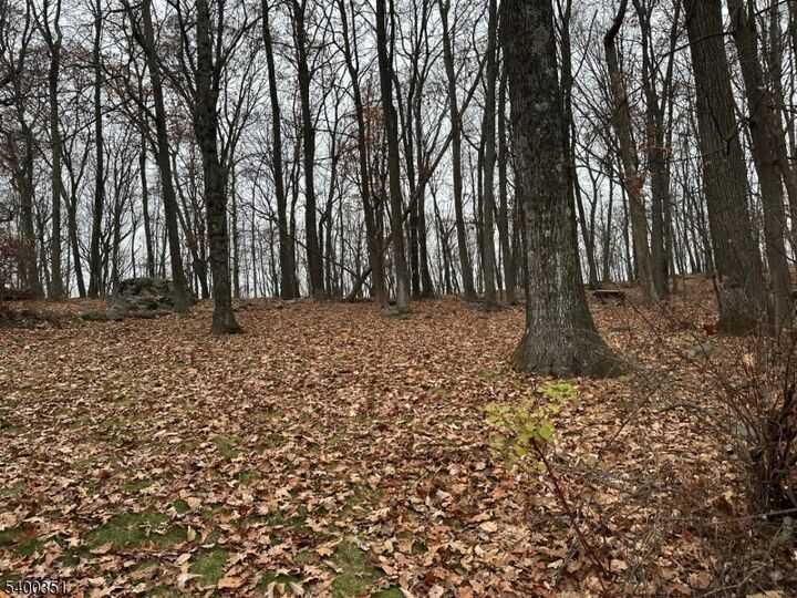 Property Photo: 120 Cayuga Ave NJ 07866