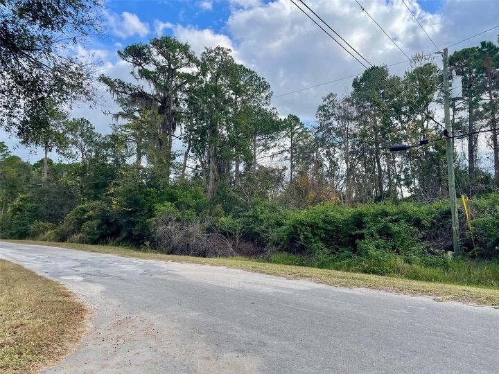 Property Photo:  000 Fisher Run  FL 32179 