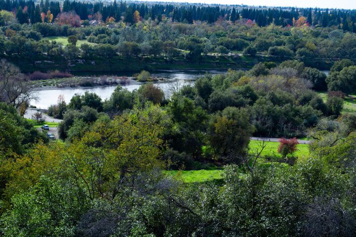 8732 Bluff Lane  Fair Oaks CA 95628 photo