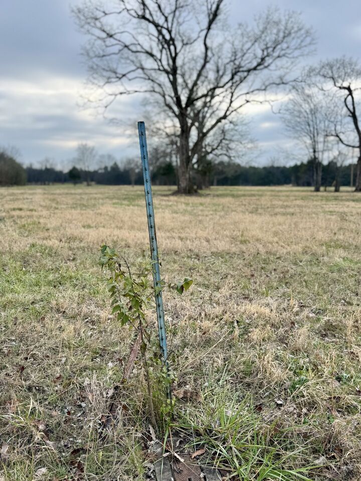 Property Photo: 0 Vesta Road TN 37090