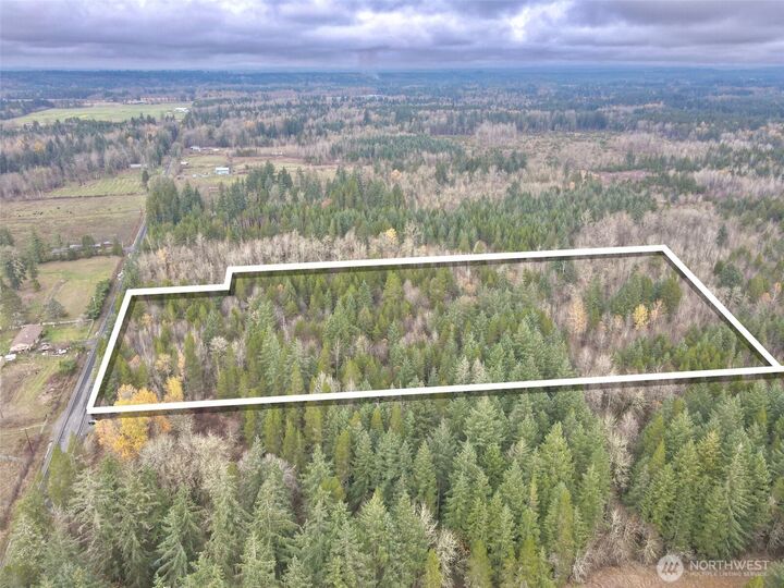 298  Boone Road  Toledo WA 98591 photo