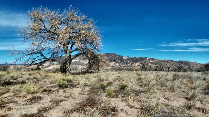 Property Photo: Lot 5 El Porvenir NM 87510