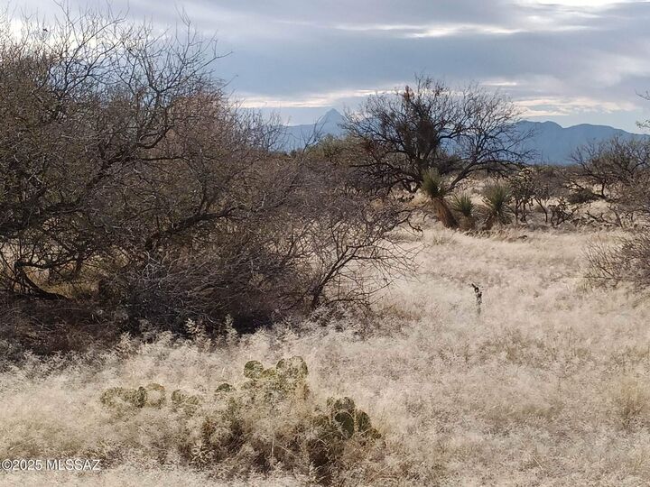 Property Photo:  16040 S Big Run Avenue 316  AZ 85736 