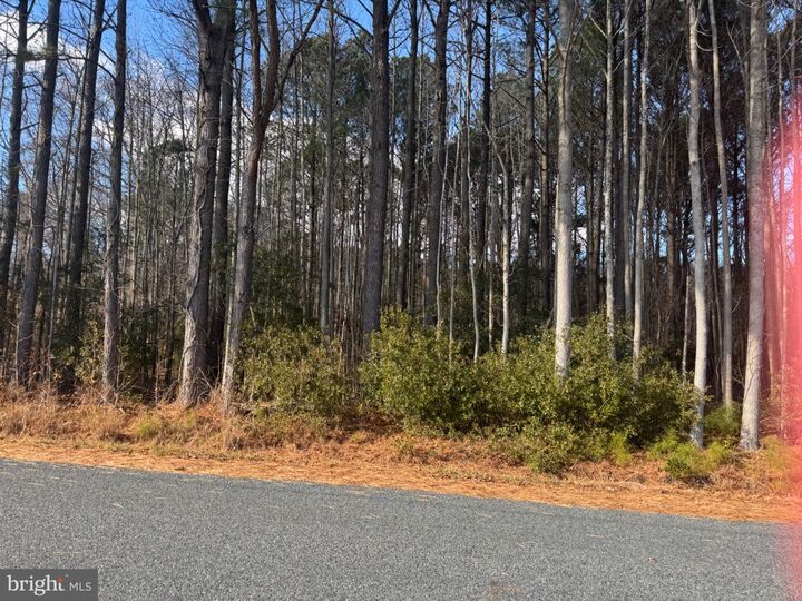 Property Photo: Hickman Lane 338 MD 21840