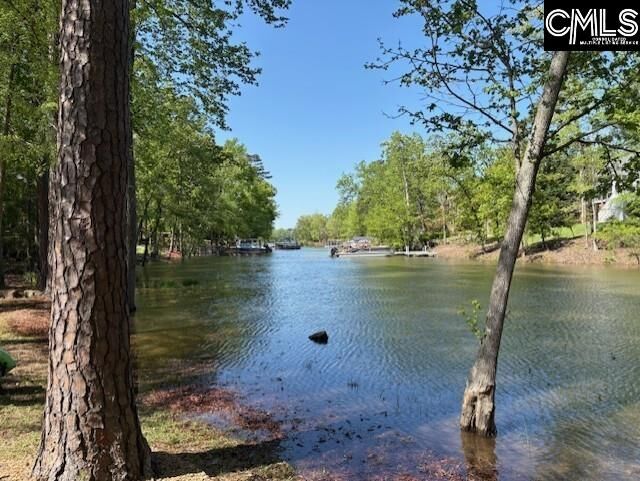 Property Photo:  412 Lookover Pointe  SC 29036 