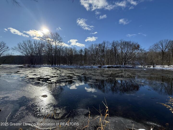 0 Island  Portland MI 48875 photo