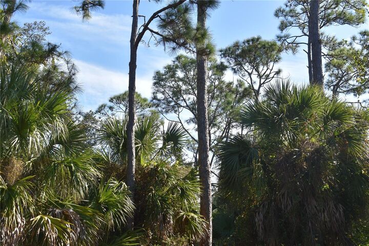 Property Photo:  20272 Lorette Avenue  FL 33954 