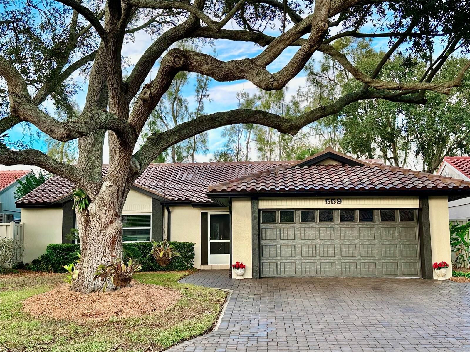 Property Photo:  559 Quintana Place NE  FL 33703 