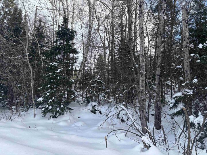 Property Photo:  Tbd Al County Road  MI 49814 