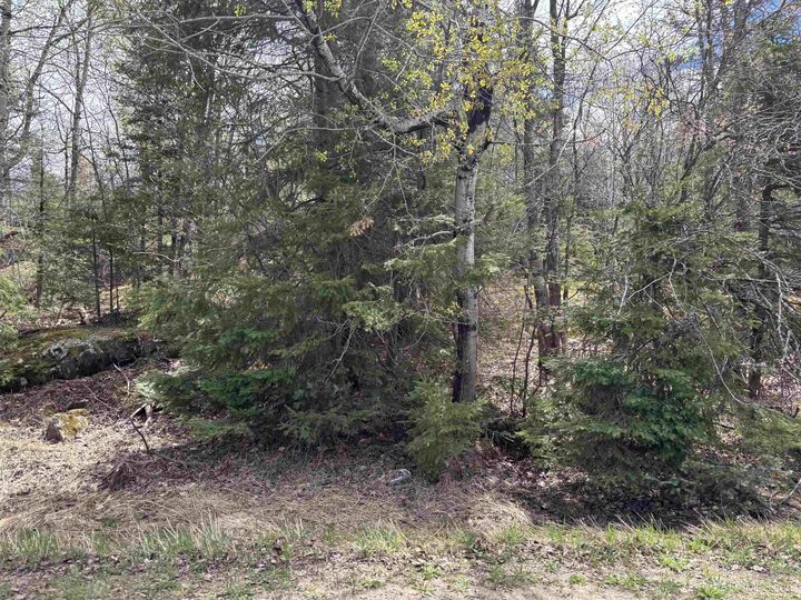 Property Photo: Tbd Al County Road MI 49814
