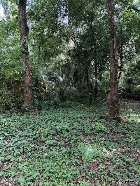 Property Photo: 9379 E Tin Pan Alley FL 34453