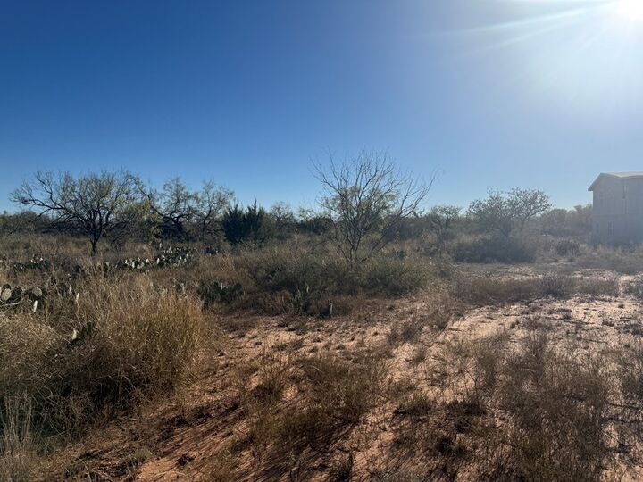 Property Photo: 2619 Obryan Lane TX 76905