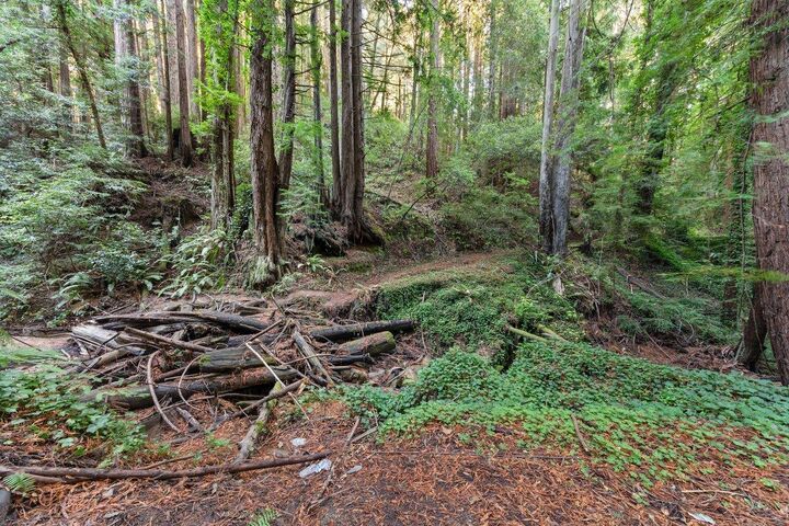 Property Photo:  3936 Tunitas Creek Road  CA 94019 