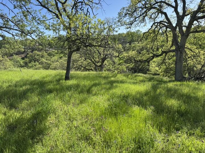 Property Photo: 22545 Rio Robles Drive CA 96080