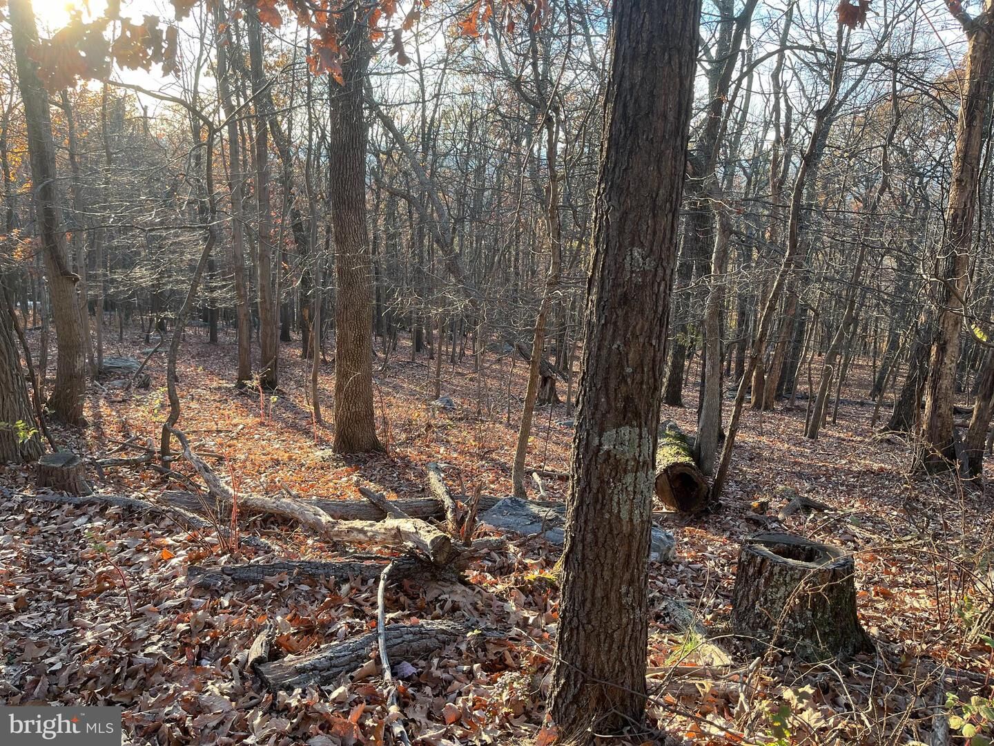 Property Photo:  Stone Ridge Road  WV 25425 