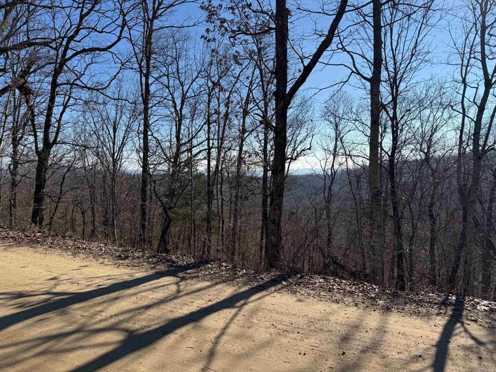 Property Photo:  Tbd Cr 5261  AR 72852 