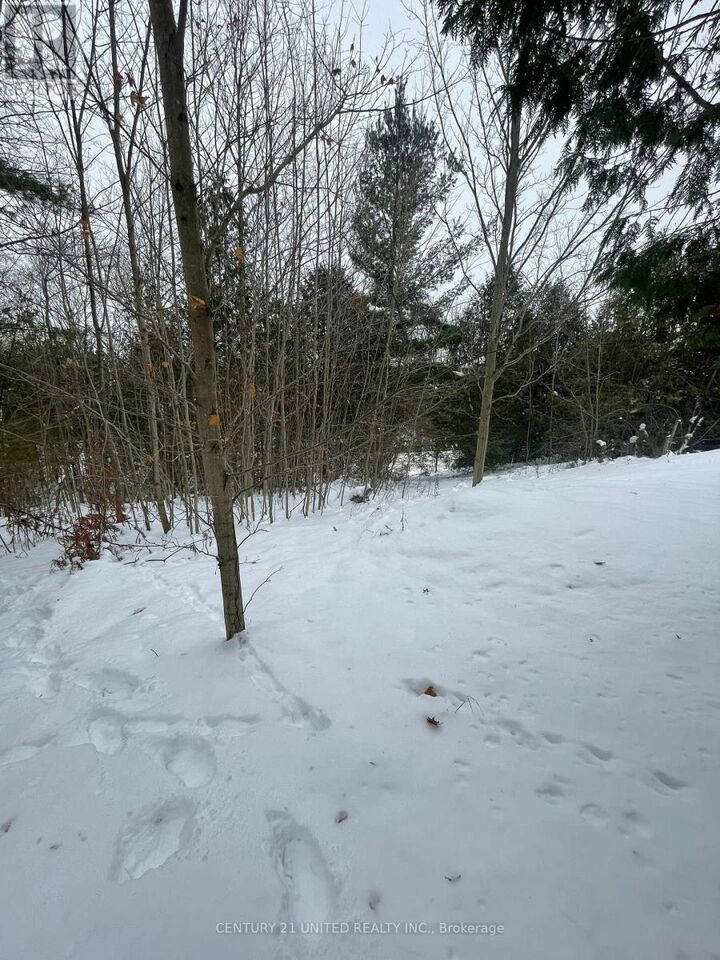 Property Photo:  Ptlt 37 Trent View Drive  ON K0L 1Y0 