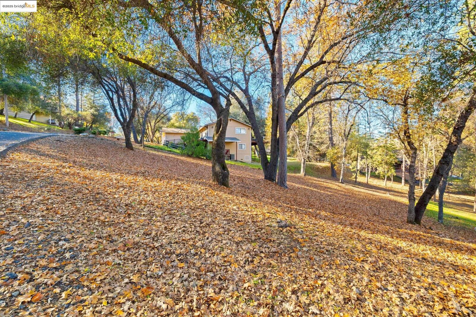 Property Photo:  7/239 Digger Pine St  CA 95321 