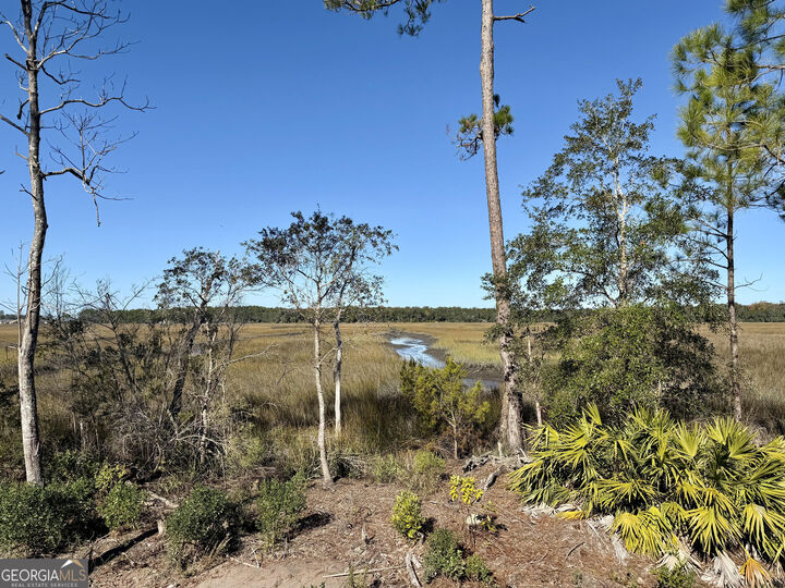 Property Photo:  311 Bateau Drive  GA 31558 