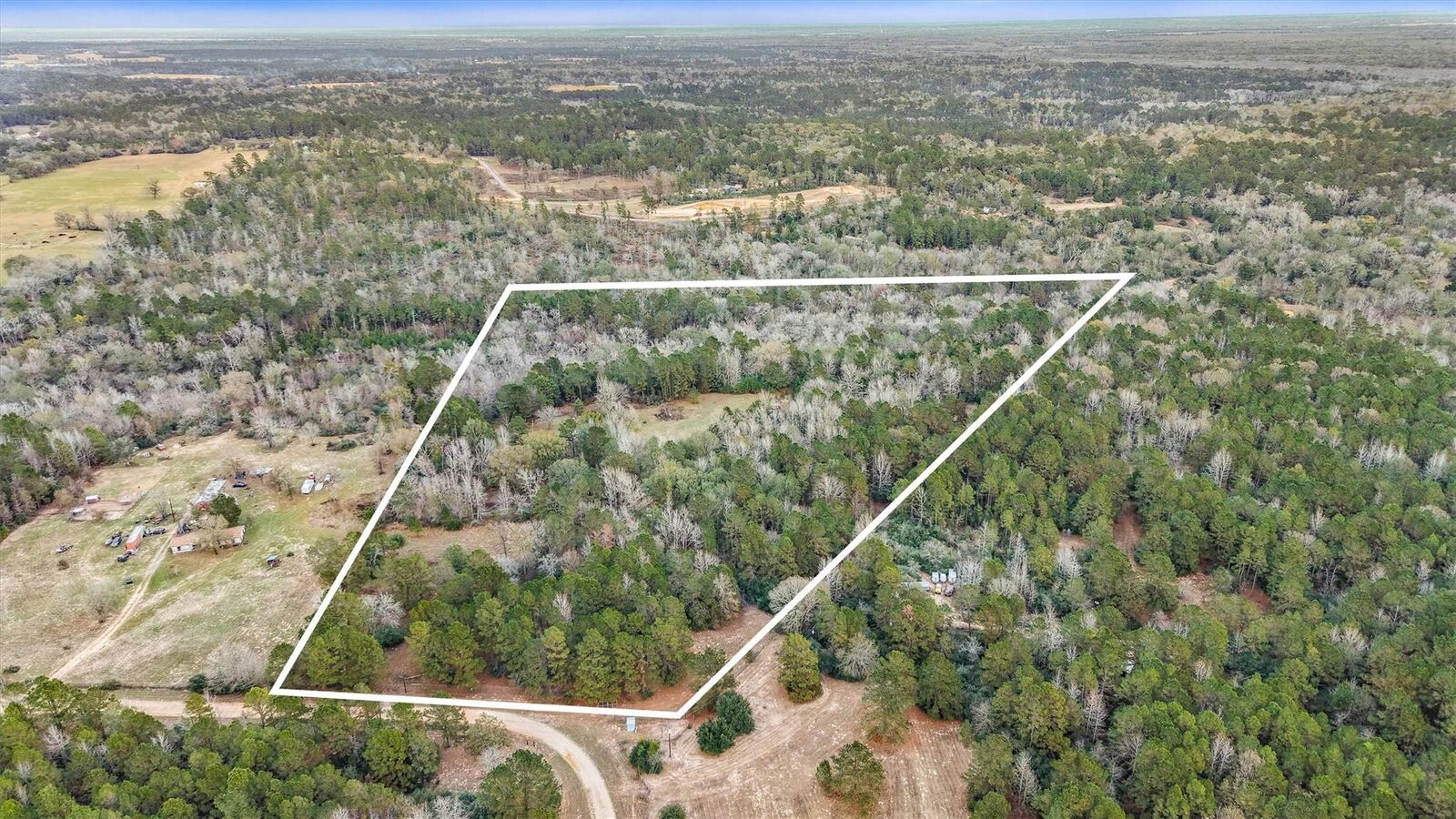 Property Photo: 5589 Pr 1580 TX 75833