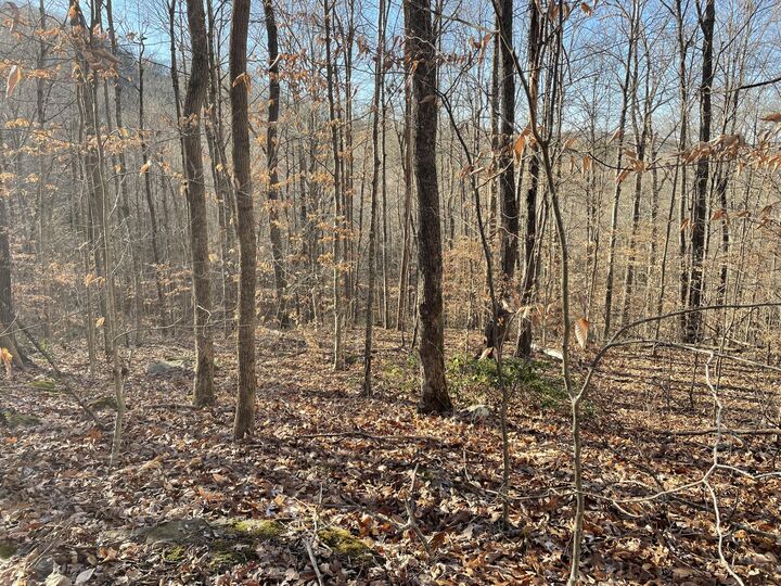 Property Photo:  1901 Dixie Bend Road  KY 42519 