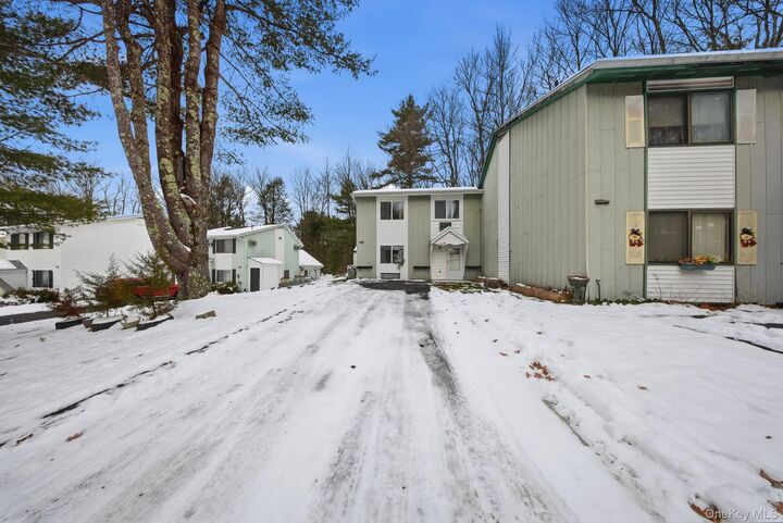 Property Photo:  17 Elizabeth Way  NY 12751 