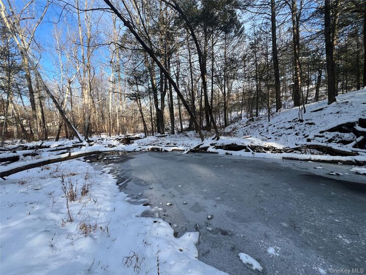 Property Photo:  26 Mossybrook Road  NY 12440 