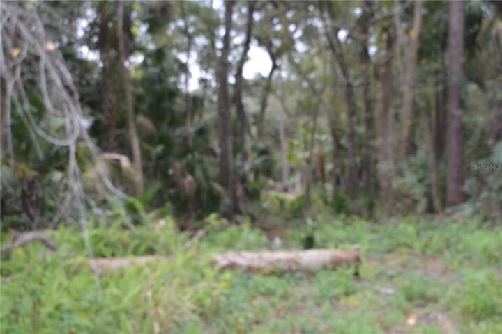 Property Photo: 0 Hester Avenue Avenue FL 32773