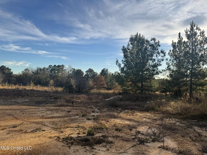 Property Photo:  7 Acres Parker Road  MS 39561 