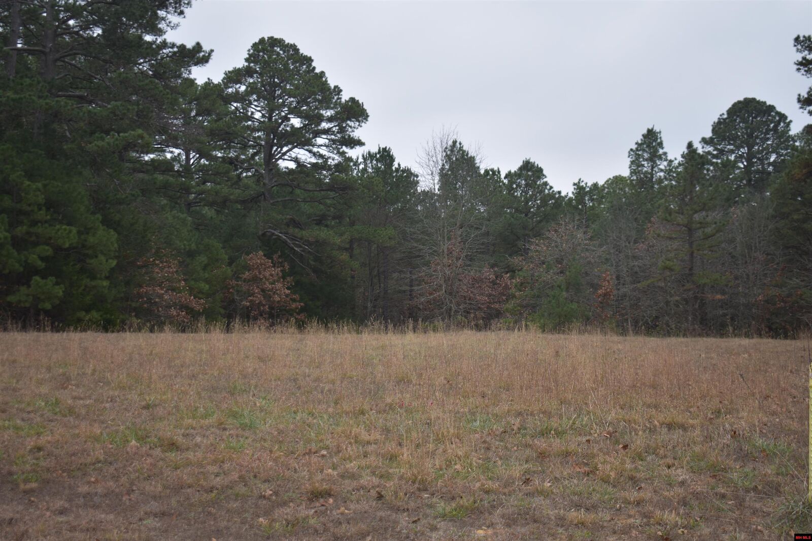 Property Photo:  010-11219-038 Swiss Alps Lane  AR 72653 