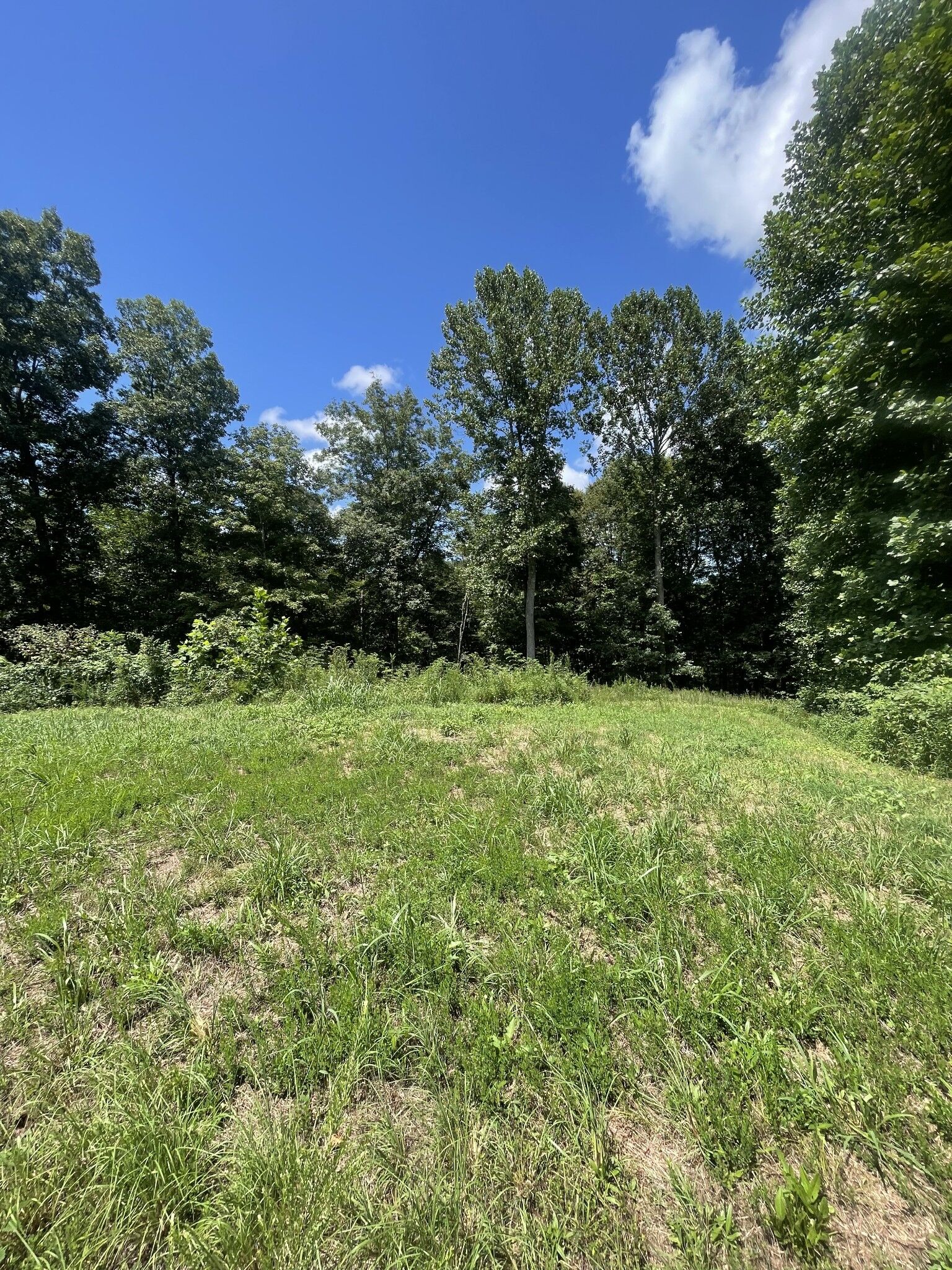 Property Photo:  0 White Springs Lane  TN 37083 