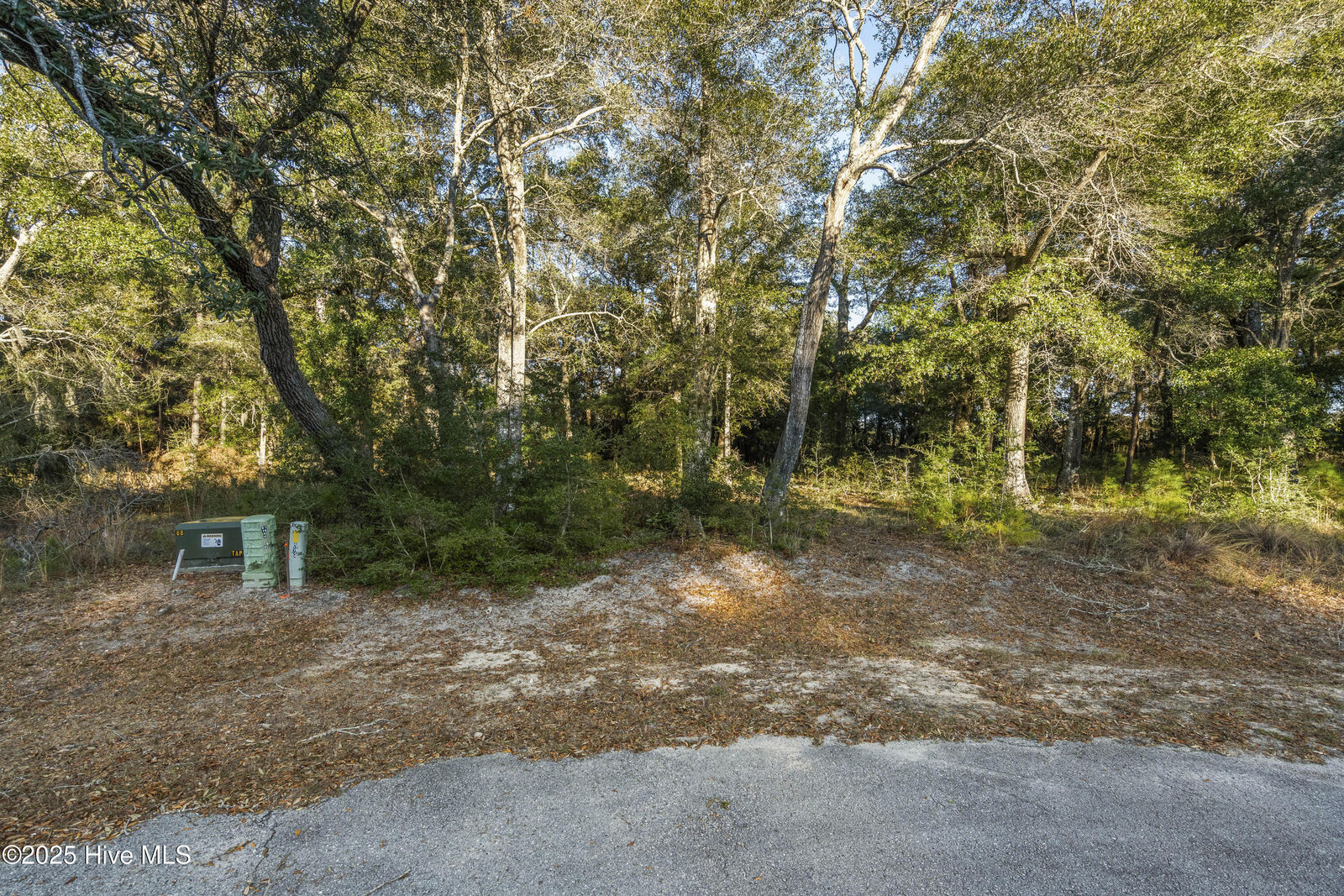 Property Photo:  3335 434R Stone Crab Court SW  NC 28462 