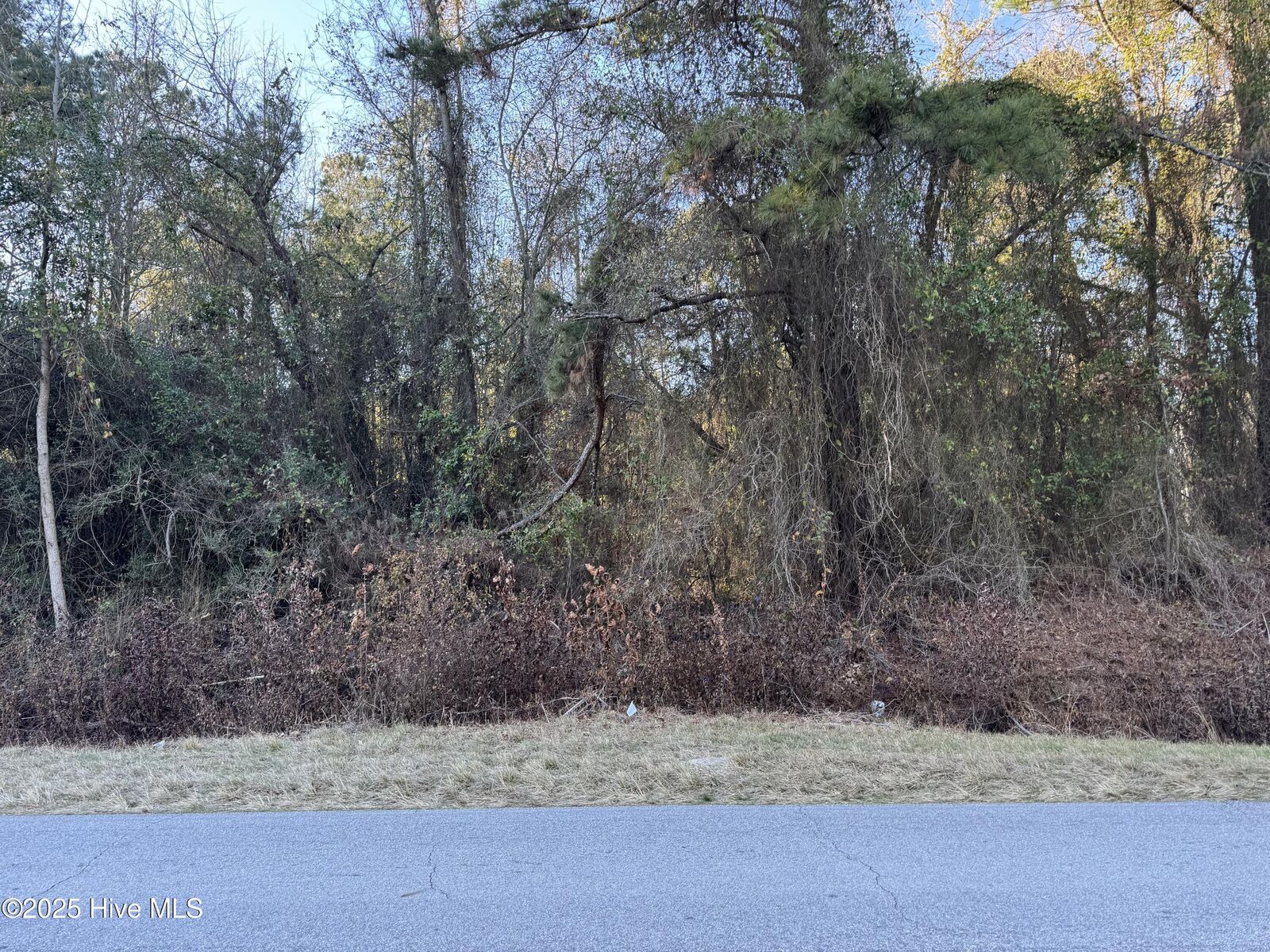 Property Photo:  00 N/A New Hope Church Road  NC 28393 