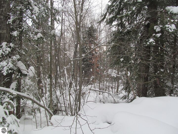 Property Photo:  Corner 13th Street  MI 49601 