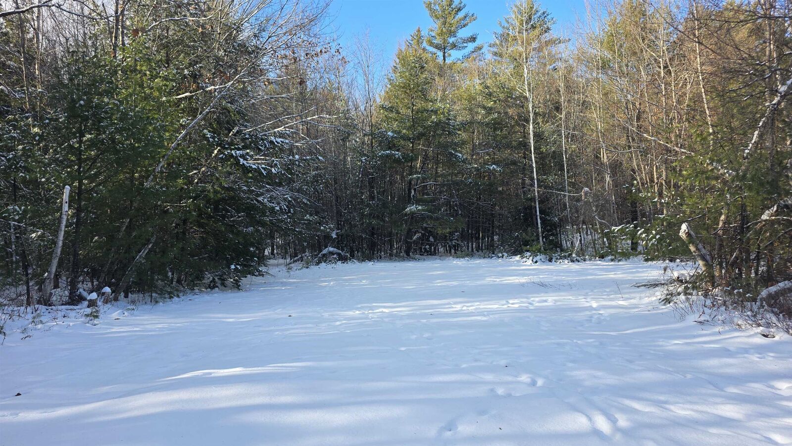 Property Photo:  468 Province Road  NH 03220 