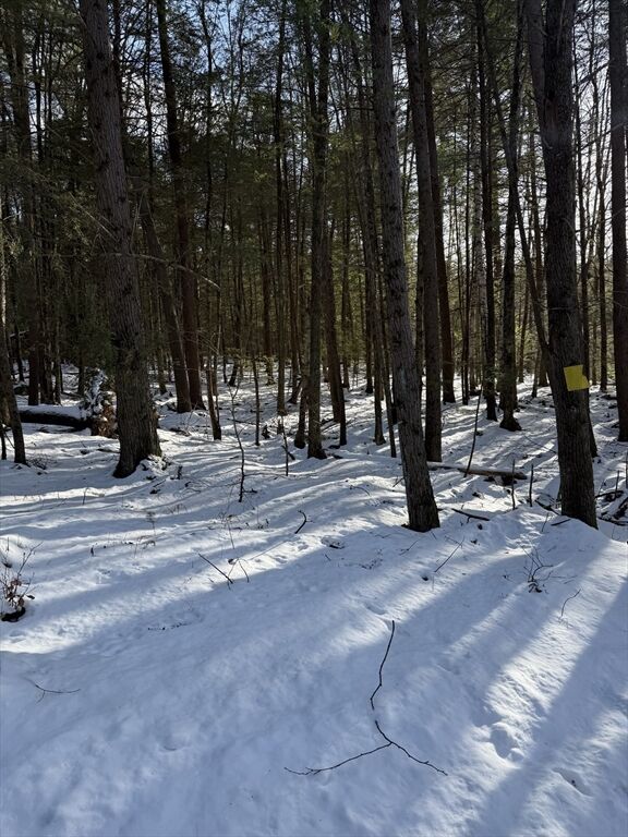 Property Photo:  0 Four Mile Brook Rd  MA 01360 