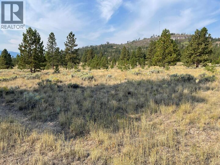 Property Photo:  923 Midday Valley Road  BC V1K 0A3 