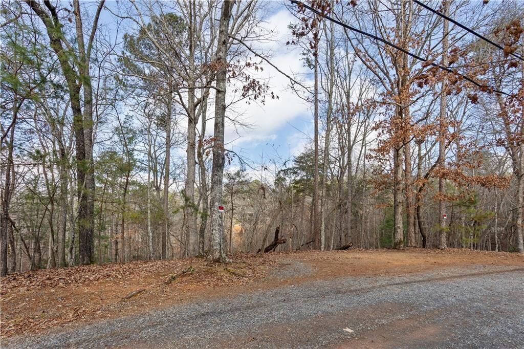 Property Photo:  0 Omen Court  GA 30540 