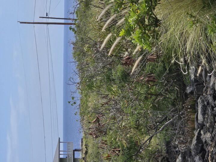 Property Photo:  Akahi Ave  HI 96704 