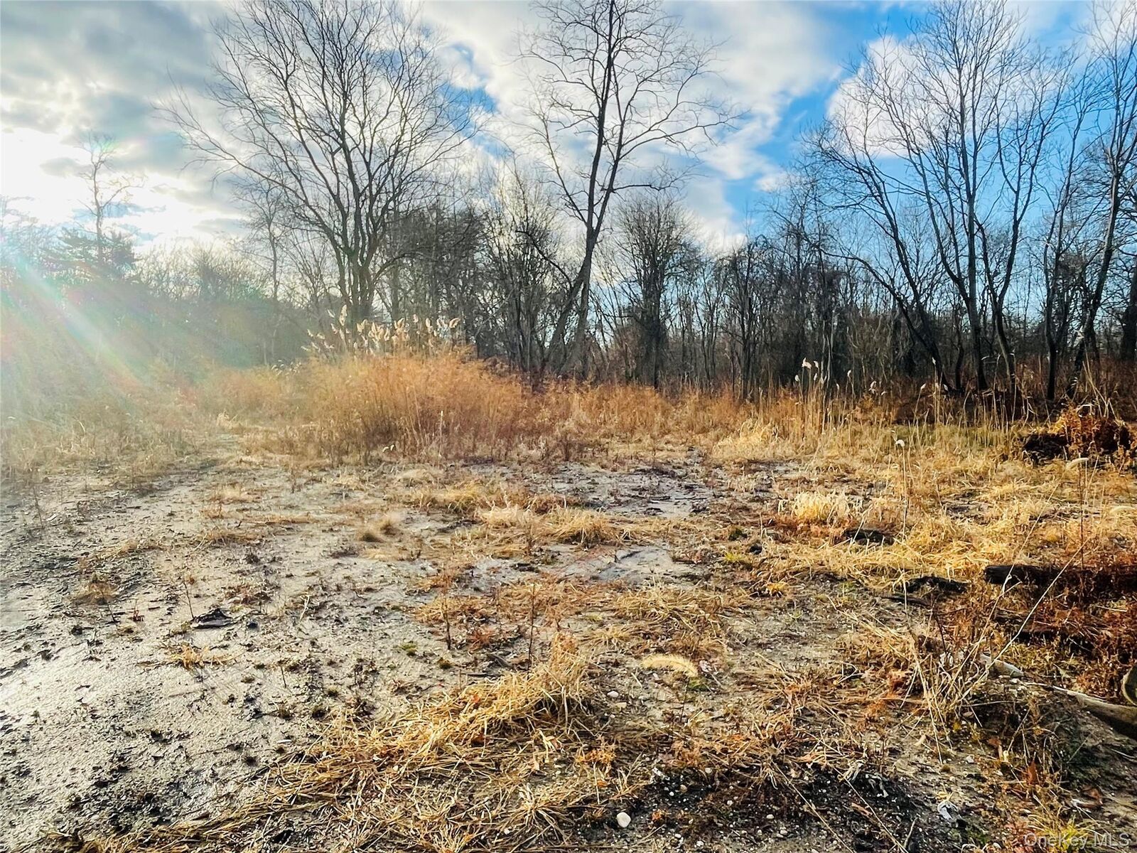Property Photo: 0 Daniel Lane NY 11953