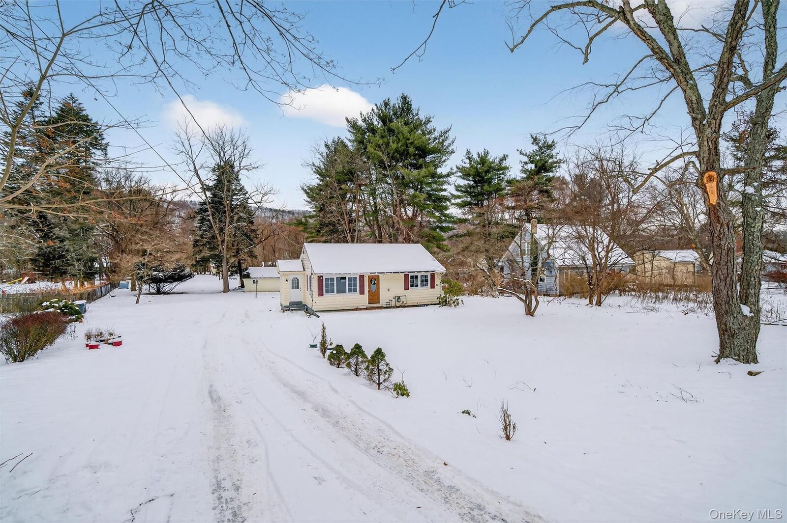 Property Photo:  93 Route 209  NY 12771 
