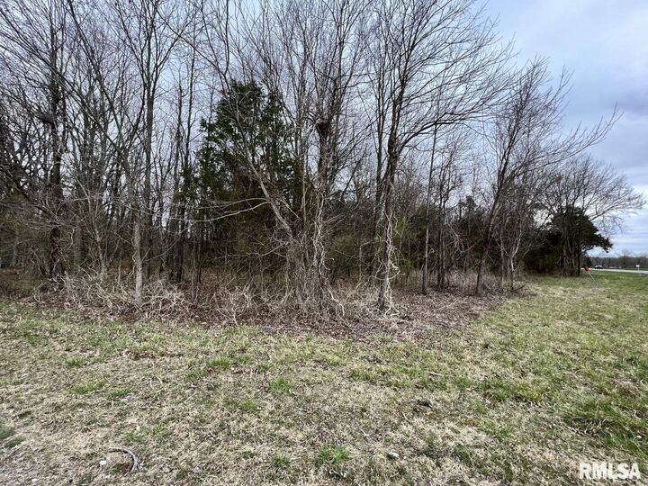 Property Photo:  000 US Route 51 Highway  IL 62924 