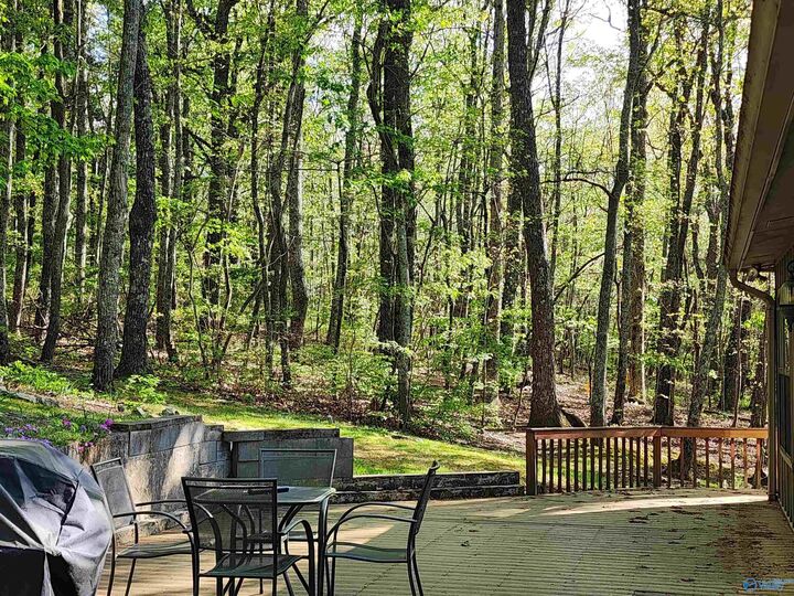 Property Photo: 73 County Road 66 AL 35967