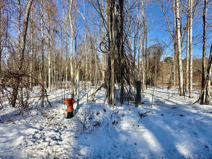 Property Photo: 14 Carpenter Street NH 03301