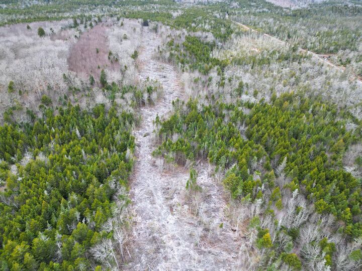 Property Photo:  Lot Peter Leblanc Road  NS B0W 2J0 