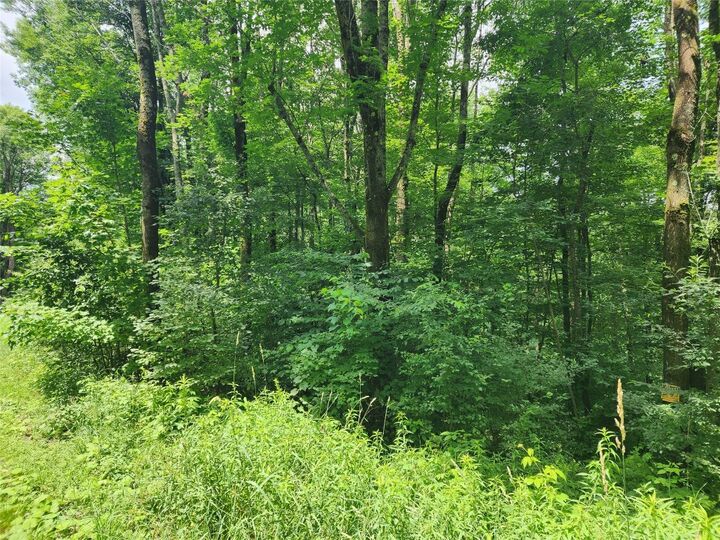 Property Photo:  0 North End Rd  NY 13040 