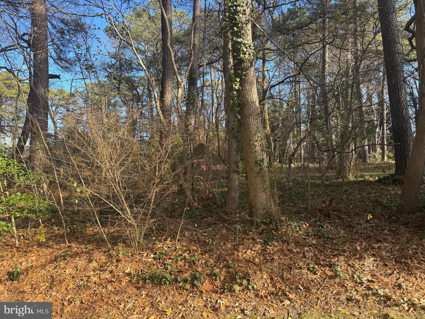 Property Photo:  0 St Andrews Drive  MD 21801 