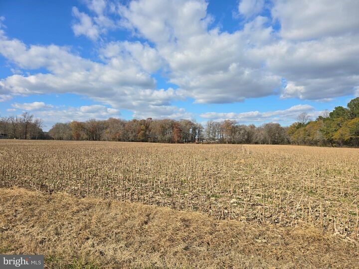 Property Photo: 0 Lot 2 Poplar Neck Road MD 21874
